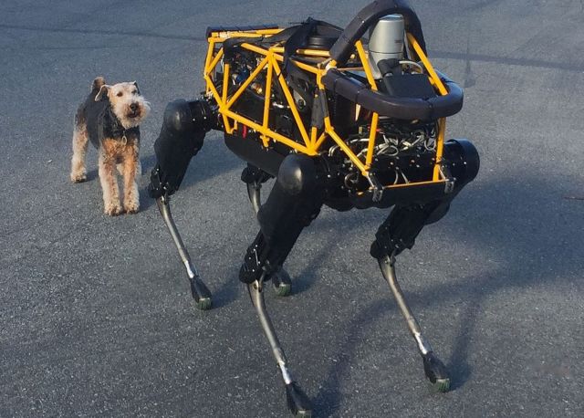 Σκύλος τα βάζει με το μοναδικό σκύλο-ρομπότ της Boston Dynamics και...