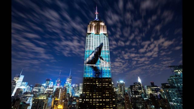 Φεστιβάλ Ντοκιμαντέρ: 10 + 1 ταινίες που αξίζουν την προσοχή μας