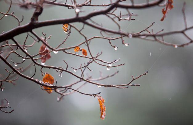 Βροχερό το τριήμερο της 25ης Μαρτίου, παραμένει η σκόνη στην ατμόσφαιρα