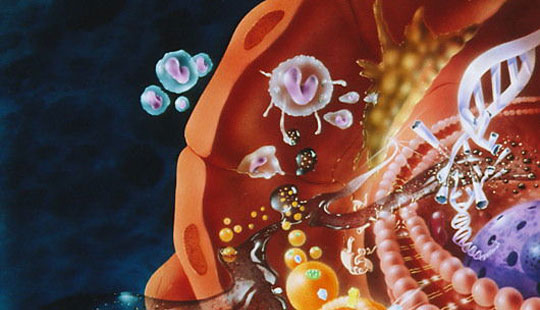 Ημερίδα για τα «Κληρονομικά Μεταβολικά Νοσήματα»