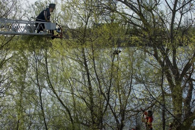 Στο πόδι η πυροσβεστική του Σακραμέντο για δύο γάτες