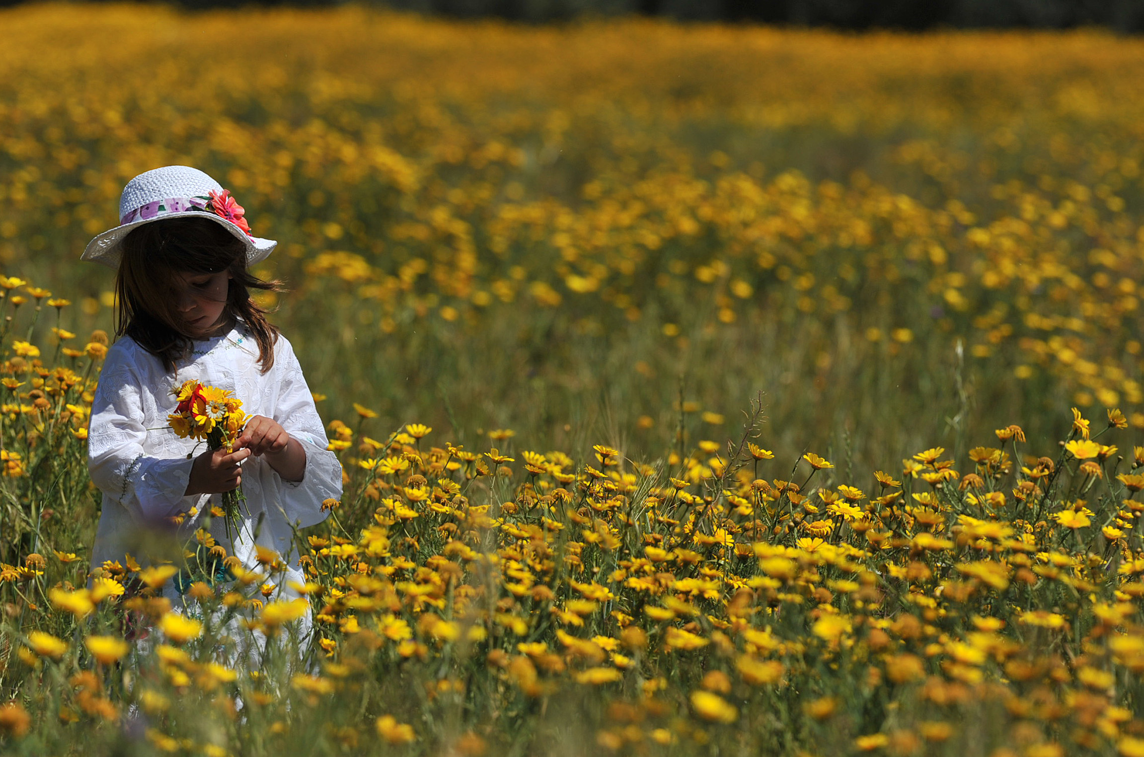 Ο καιρός όλη την Μεγάλη Εβδομάδα