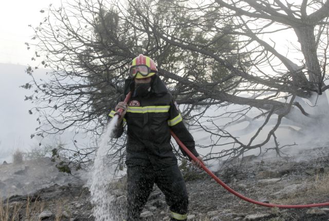 Υπό έλεγχο η φωτιά στην Χάλκη του δήμου Νεμέας