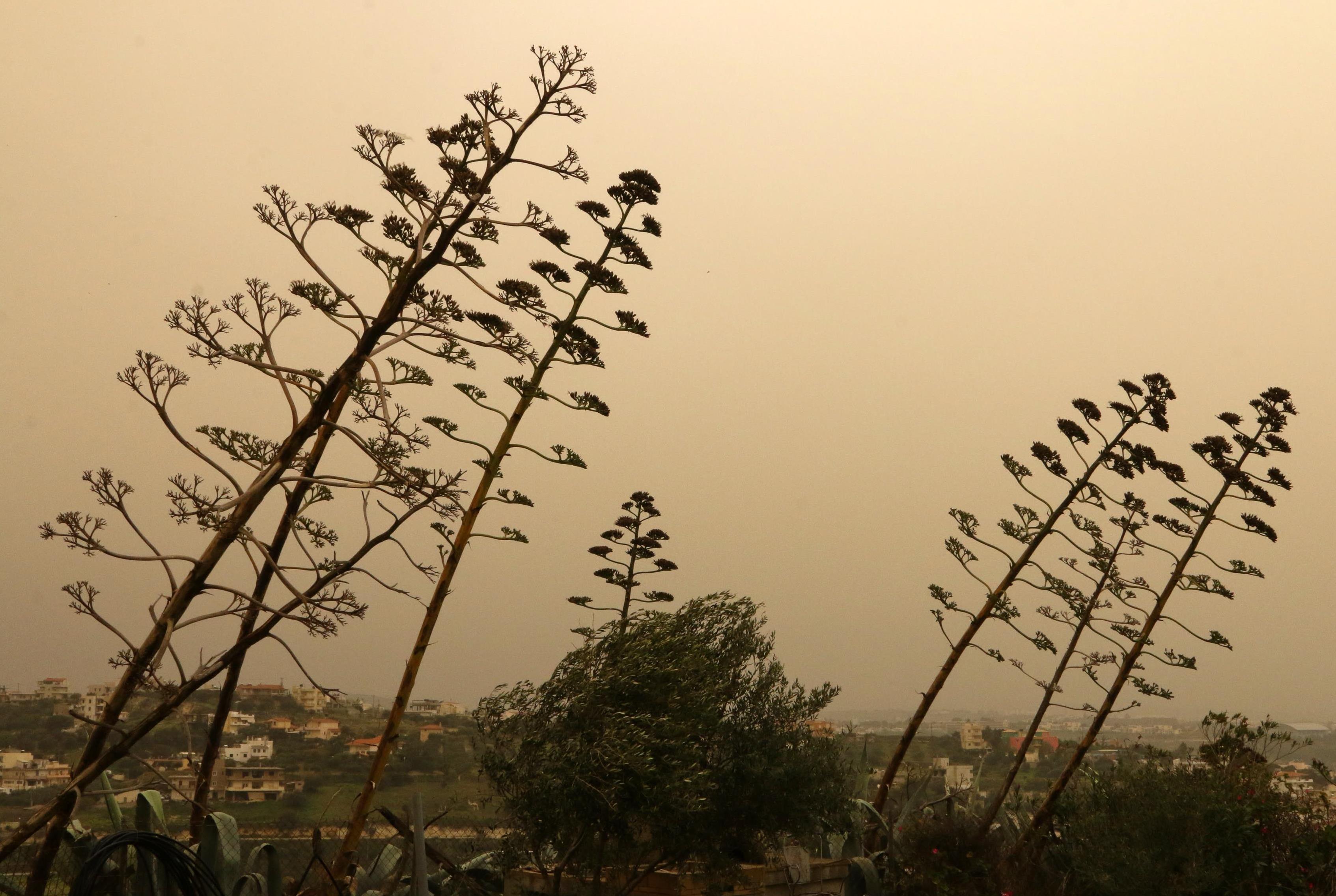 Πέπλο αφρικανικής σκόνης κάλυψε σχεδόν όλη την Ελλάδα