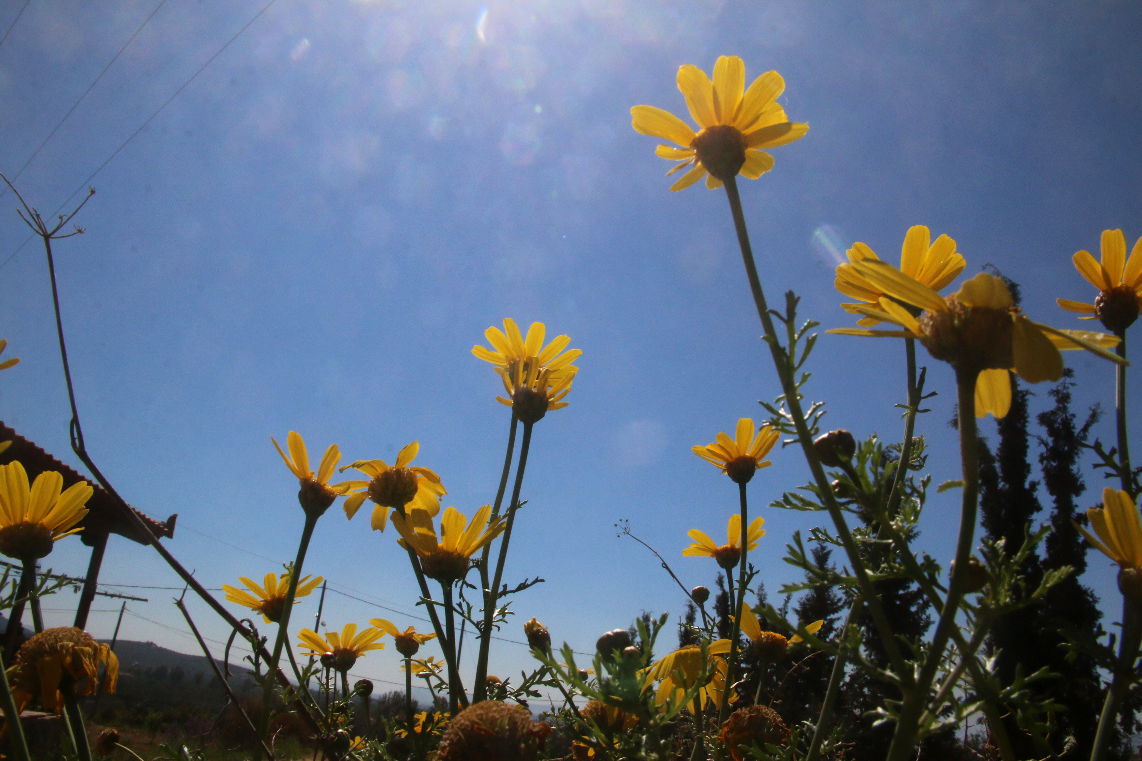 Με αίθριο καιρό ο εορτασμός του Πάσχα