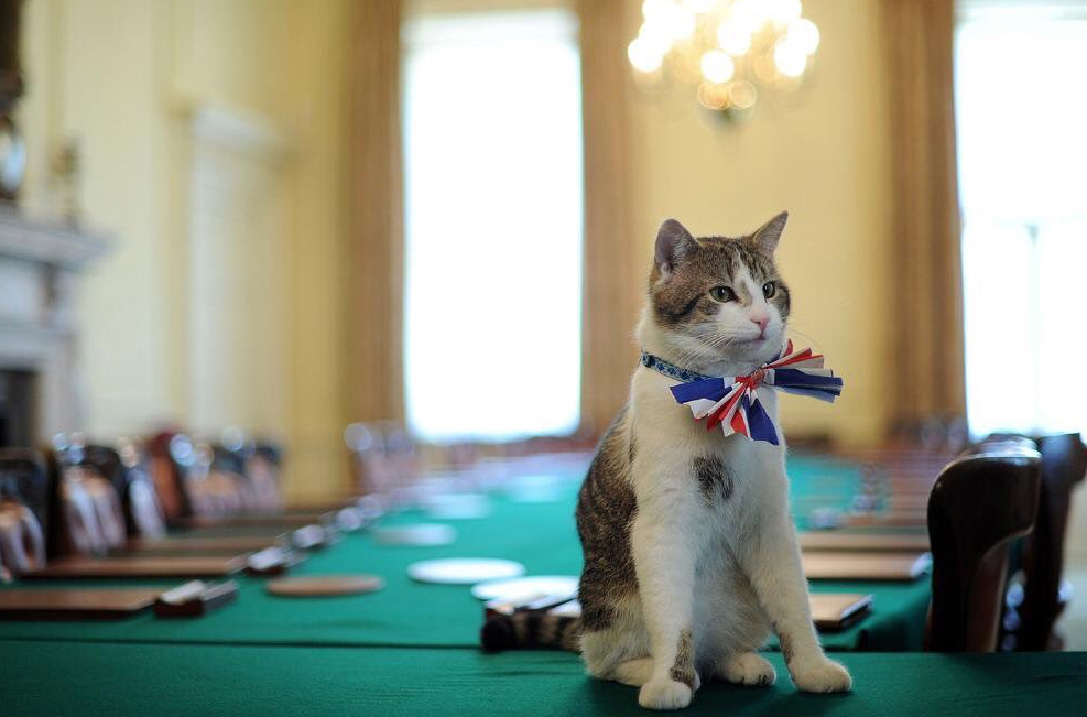 Το Φόρεϊν Όφις προσέλαβε τον γάτο Πάλμερστον ως «κυνηγό ποντικών»