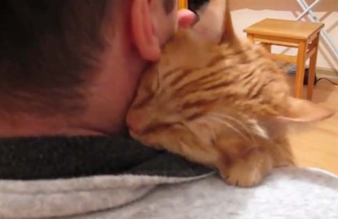 Ο πιο αγαπησιάρης γατούλης σε βίντεο