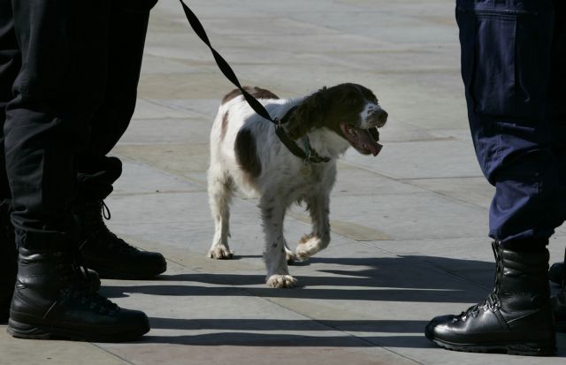 Στο Μάντσεστερ, οι αστυνομικοί σκύλοι βρίσκουν λουκάνικα αλλά όχι ναρκωτικά