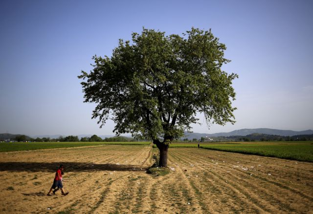 Το προσφυγικό χάρισε Πούλιτζερ σε Reuters και New York Times