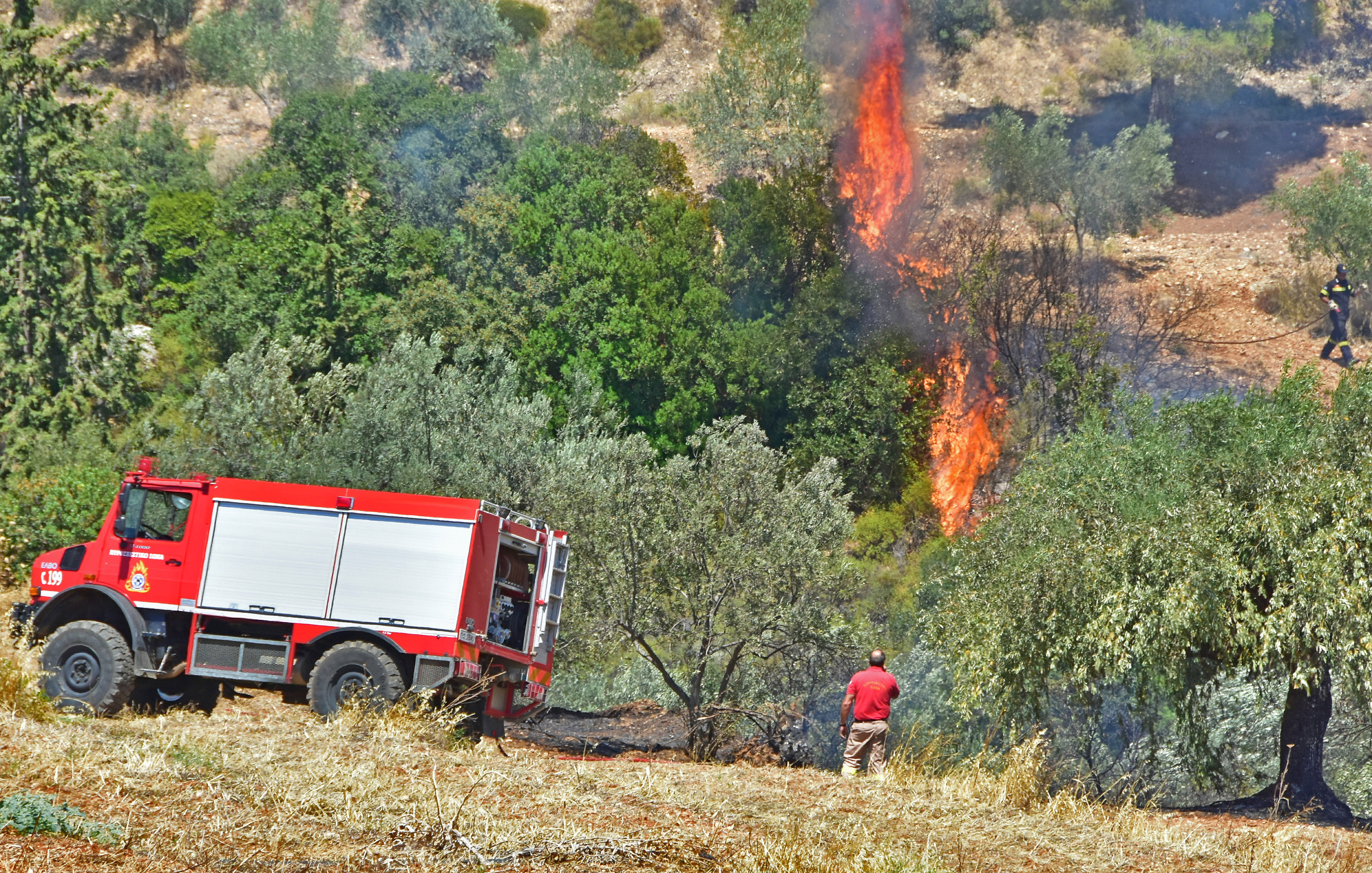 Δασικές πυρκαγιές σε Ικαρία και Σητεία