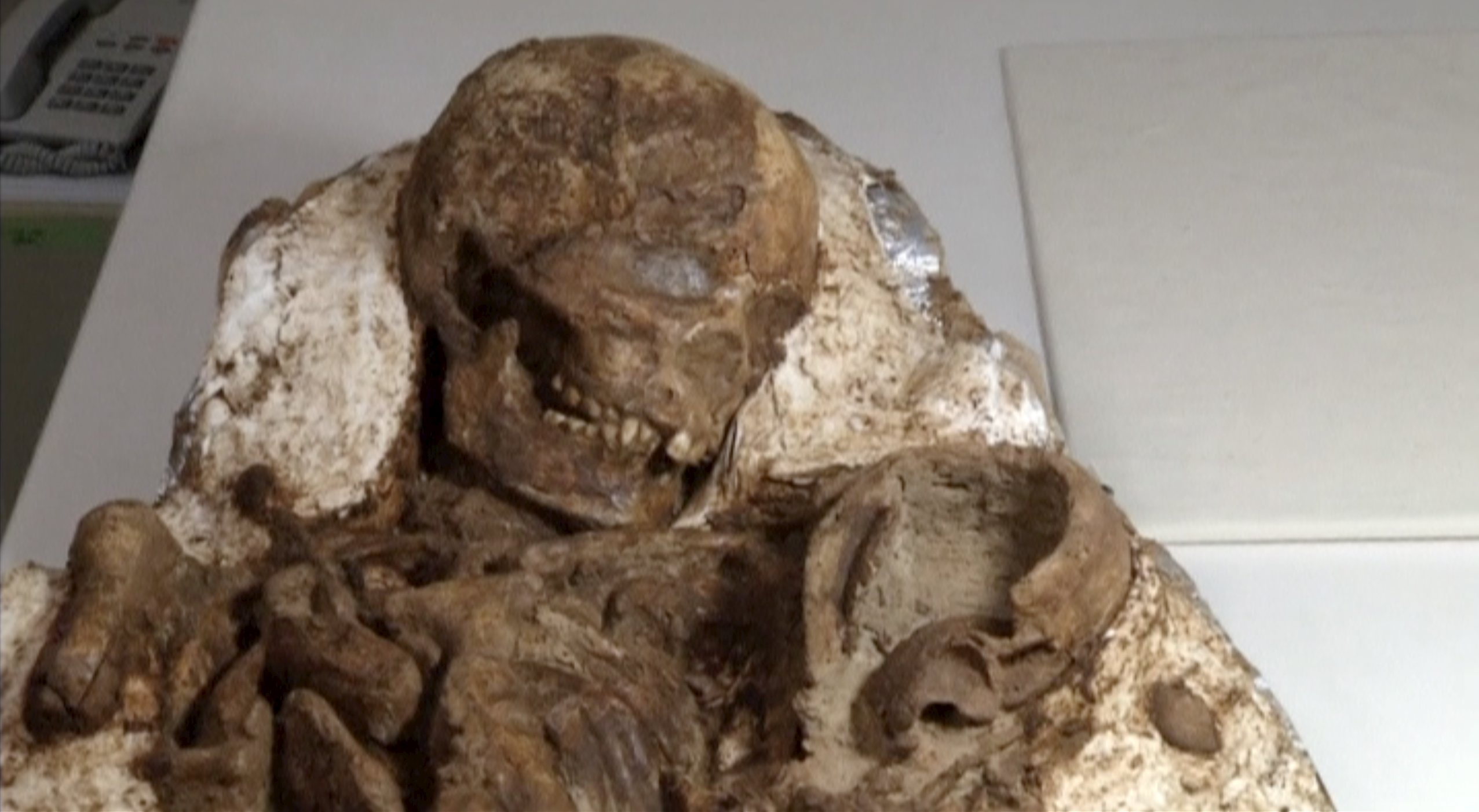 Απολίθωμα μητέρας που κρατά αγκαλιά το μωρό της εδώ και 4.800 χρόνια