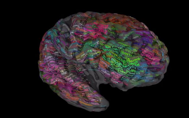 Χαρτογραφώντας το νόημα των λέξεων στον εγκέφαλο