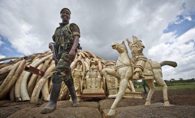 H Κένυα στέλνει στην πυρά 100 τόνους ελεφαντόδοντου