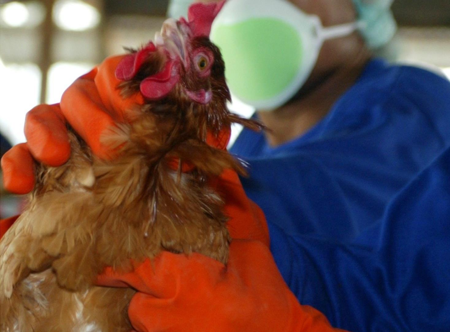 Εργάζονται με πάνες επειδή τους αρνούνται το διάλειμμα για τουαλέτα