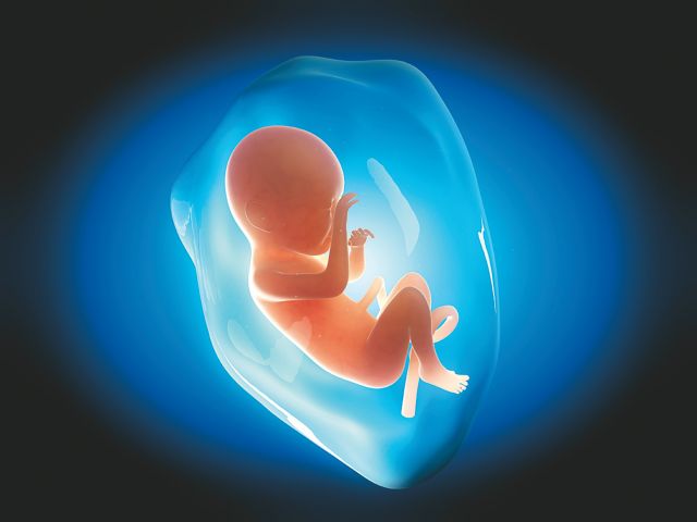 Ανθρώπινο έμβρυο αναπτύσσεται για χρόνο – ρεκόρ στο εργαστήριο