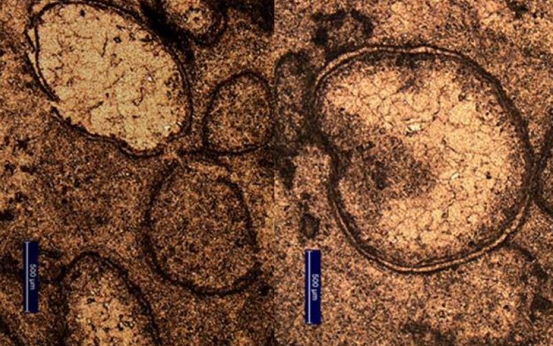 Τερατώδης πρόσκρουση αστεροειδή άφησε ίχνη στην Αυστραλία