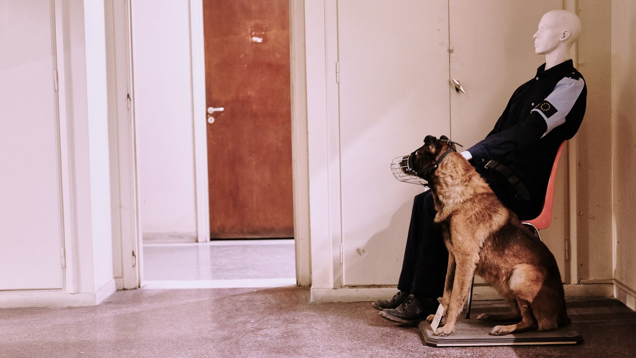 Το «Σπίτι της Ευρωπαϊκής Ιστορίας στην Εξορία» με μαύρο χιούμορ