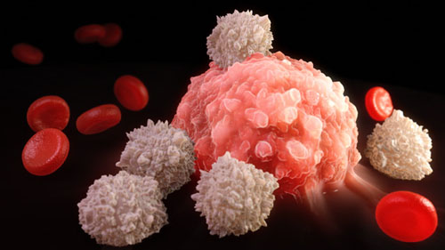 Πειραματική αντικαρκινική ανοσοθεραπεία αξιοποιεί τα μακροφάγα κύτταρα