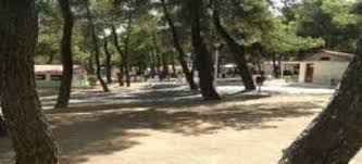 Έως τις 31 Μαΐου οι εγγραφές για τις παιδικές κατασκηνώσεις του Αγίου Ανδρέα