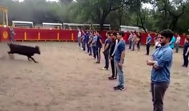Tι θα κάνει ο ταύρος με 40 ακίνητους ανθρώπους στην αρένα;