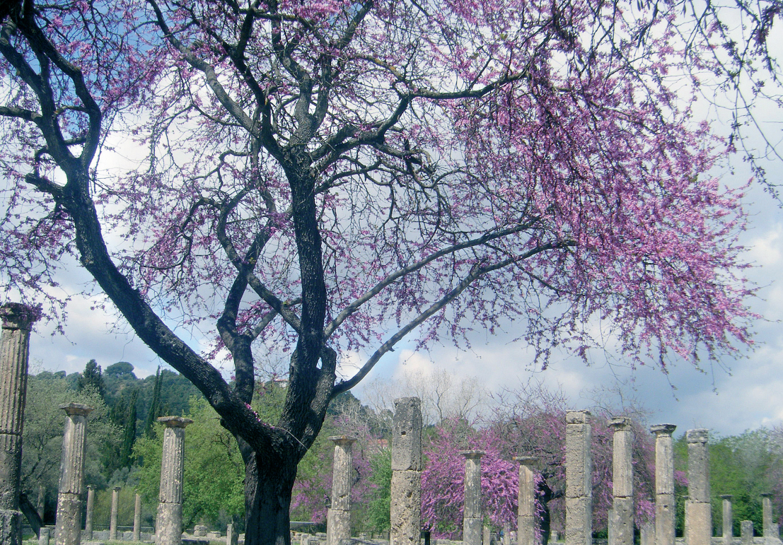 «Πράσινες Πολιτιστικές Διαδρομές» σε μουσεία όλης της χώρας