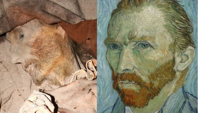 Μούμια του «Βαν Γκογκ» βρέθηκε στην Ισπανία