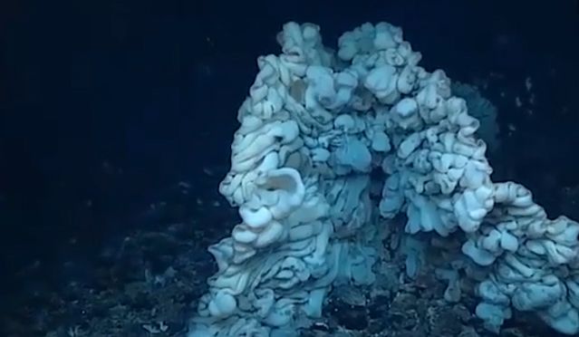 Σε μέγεθος μίνι βαν το μεγαλύτερο σφουγγάρι στον κόσμο