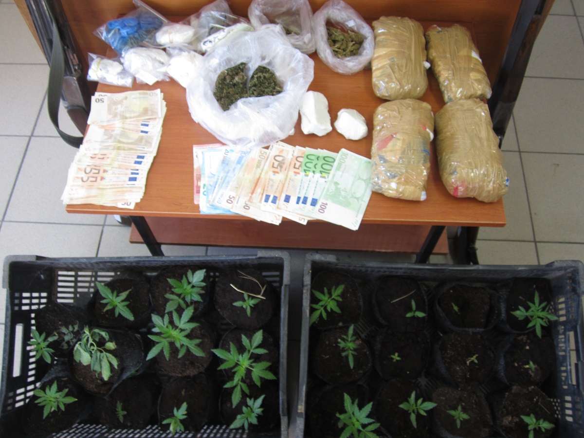 Εξαρθρώθηκε στη Μεσσηνία μεγάλο κύκλωμα καλλιέργειας και διακίνησης ναρκωτικών