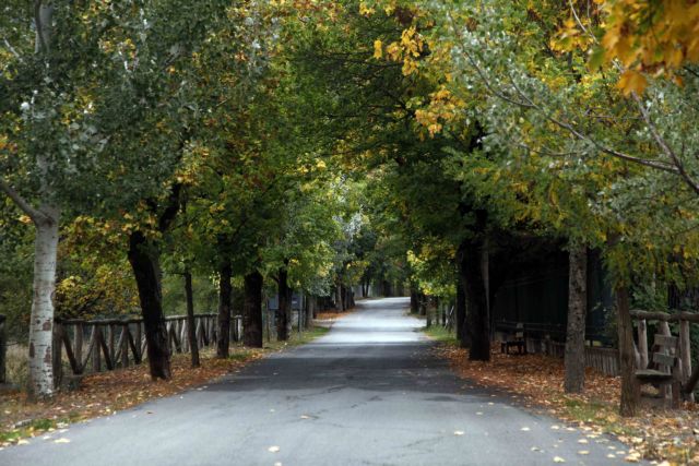 Σχέδιο νόμου για τους δασικούς χάρτες κατέθεσε το υπουργείο Περιβάλλοντος