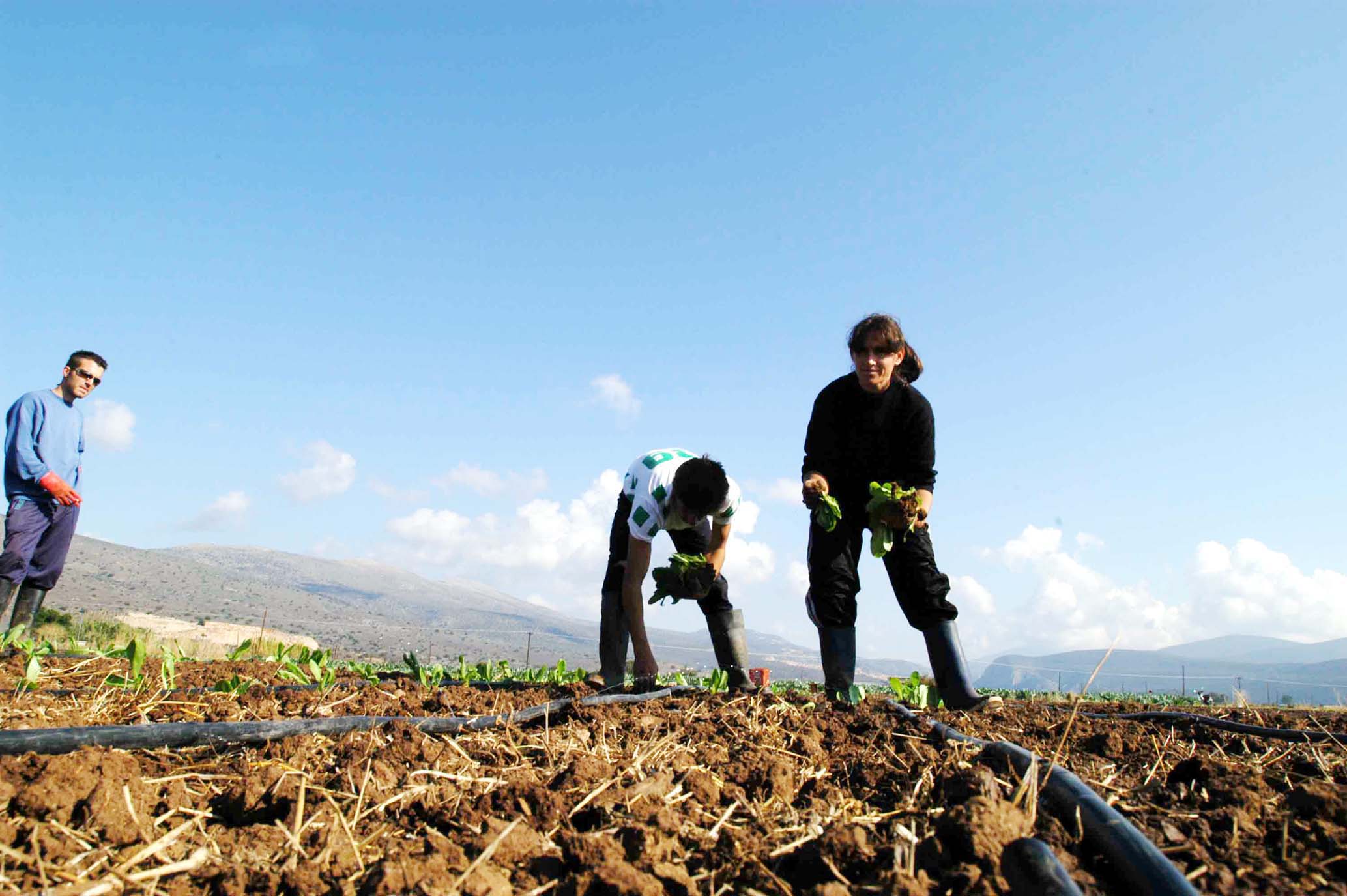 Δωρεάν εξετάσεις για το μελάνωμα σε έξι αγροτικές περιοχές της Ελλάδας