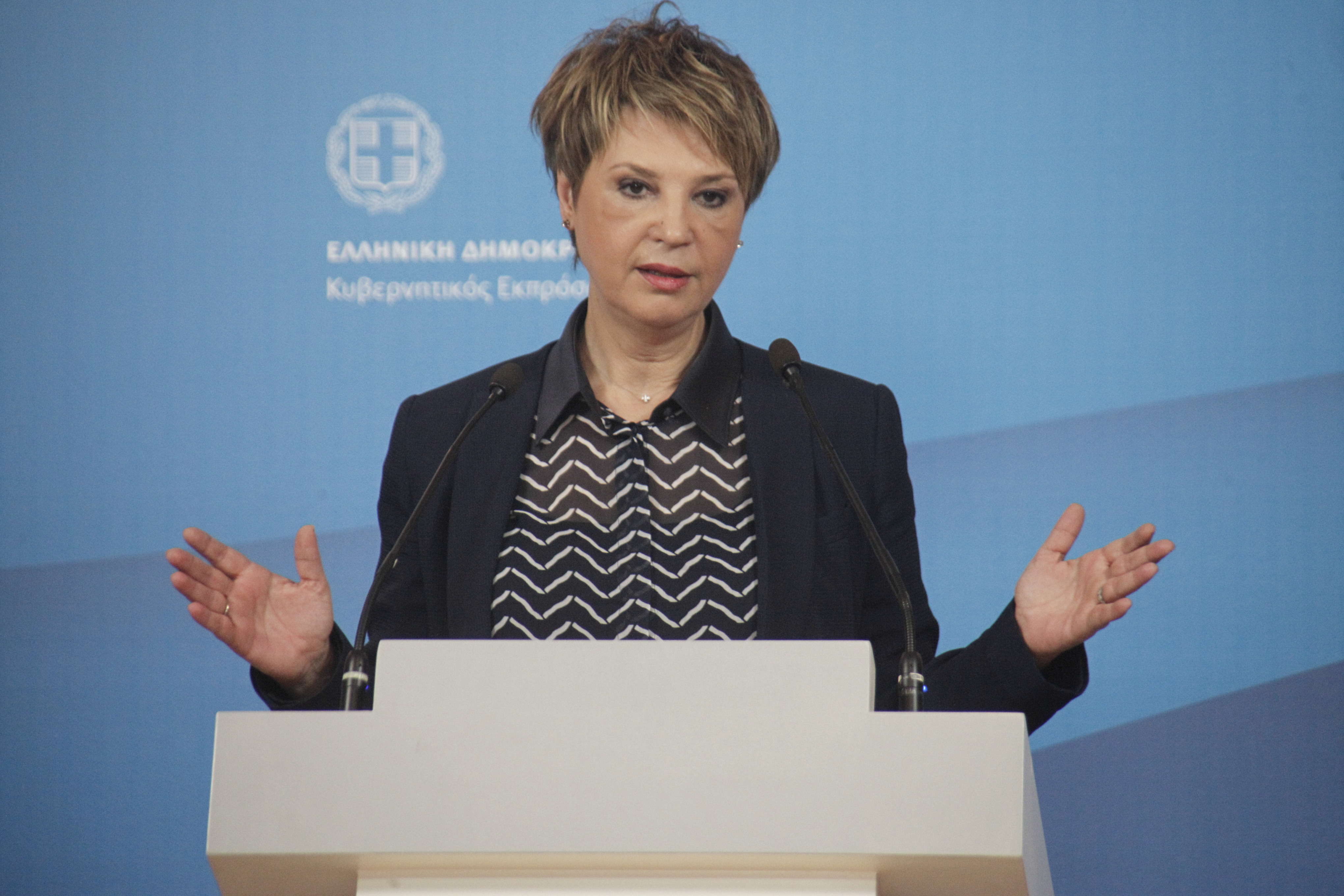 Γεροβασίλη για «Παραιτηθείτε»: Στη συγκυρία κινείται εχθρικά στη χώρα