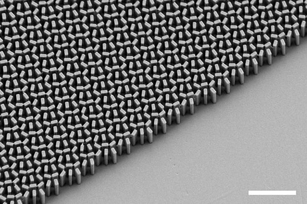 Μικροσκοπικός μετα-φακός «φέρνει επανάσταση σε κάμερες και μικροσκόπια»