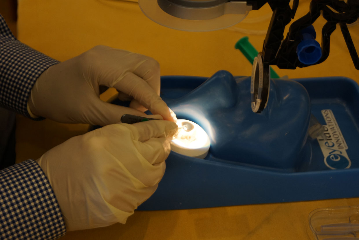 Στις 13-18 Ιουνίου το 6o Διεθνές Θερινό Σχολείο Υαλοειδούς-Αμφιβληστροειδούς