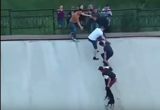 Μαθητές ενώνουν τις δυνάμεις τους για να σώσουν έναν σκύλο