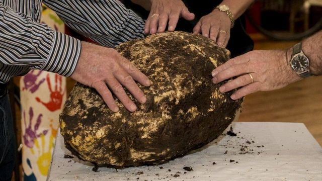 Δέκα κιλά αρχαίο βούτυρο βρέθηκαν θαμμένα στην Ιρλανδία