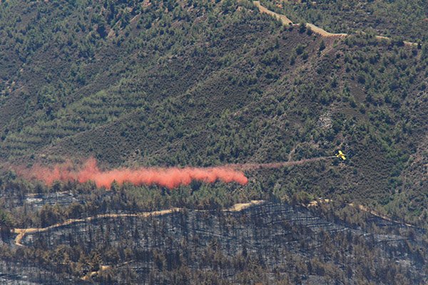 Νεκρός πυροσβέστης στη μάχη με τις φλόγες στην Κύπρο
