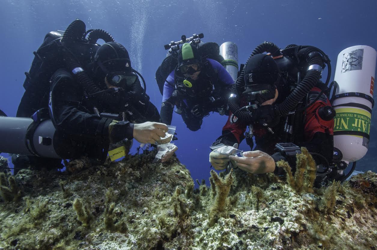 Νέες εκπλήξεις έκρυβε το Ναυάγιο των Αντικυθήρων
