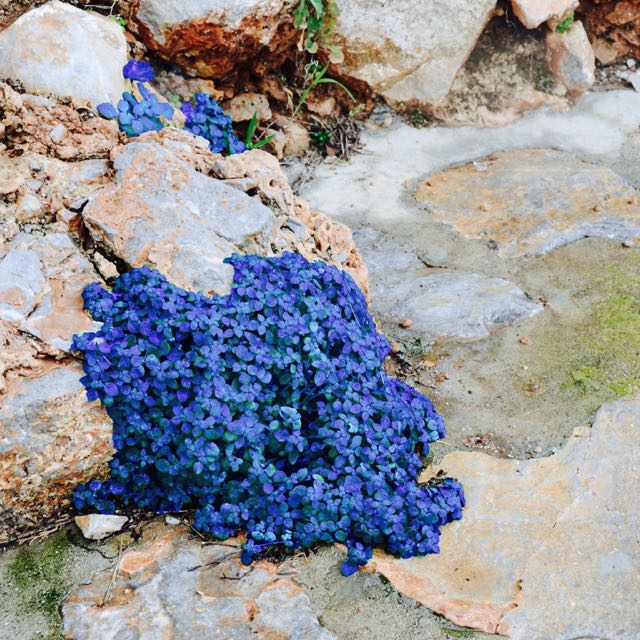 Εικαστική εγκατάσταση της βραβευμένης Μαρίας Τσάγκαρη στην Ύδρα