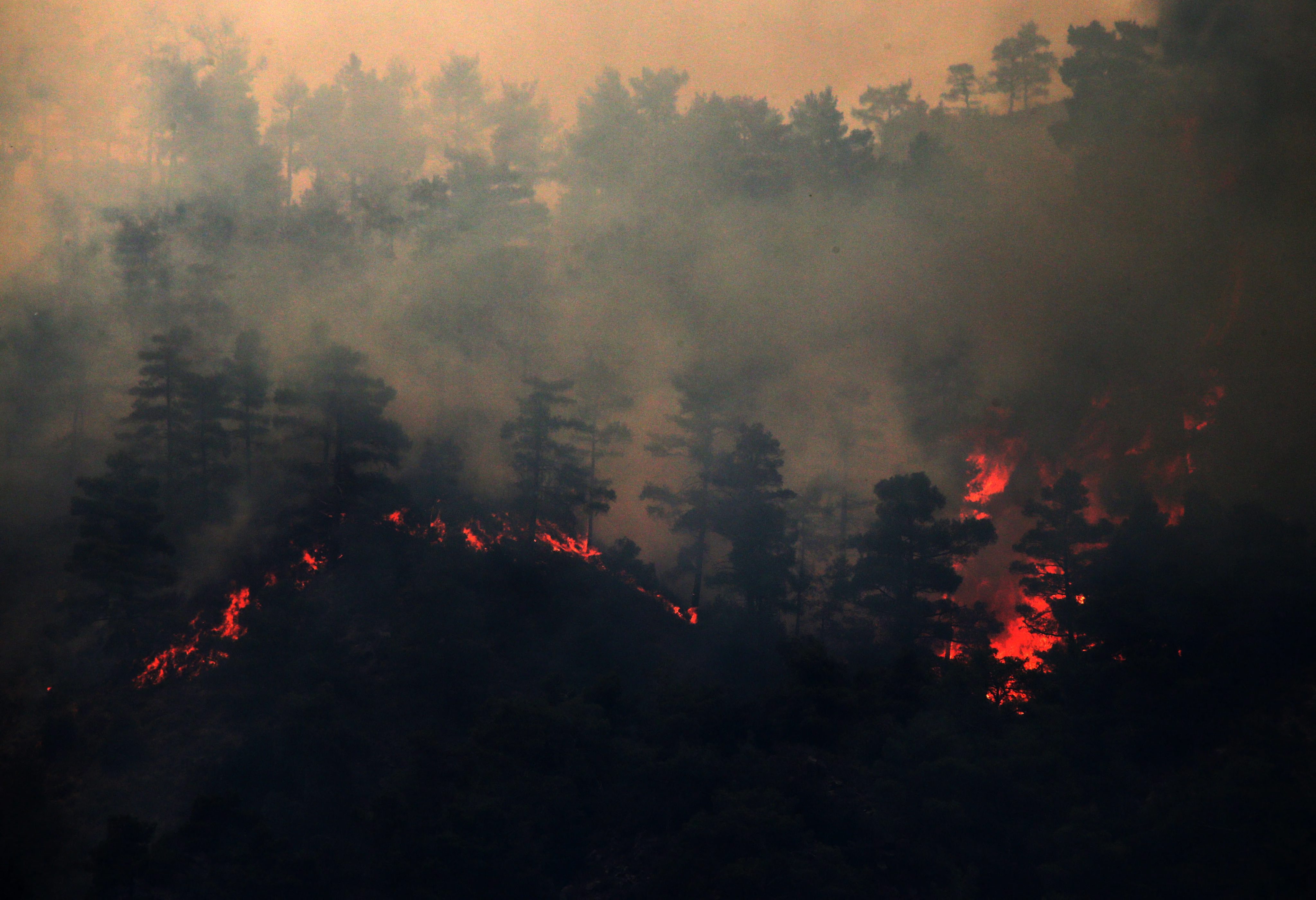 Υπό έλεγχο έπειτα από πέντε ημέρες η καταστροφική πυρκαγιά στην Κύπρο