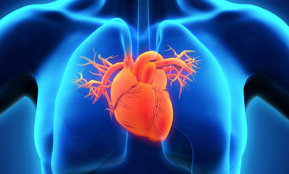 Καρδιακό πλέγμα αλλάζει τη διαχείριση της καρδιακής ανεπάρκειας