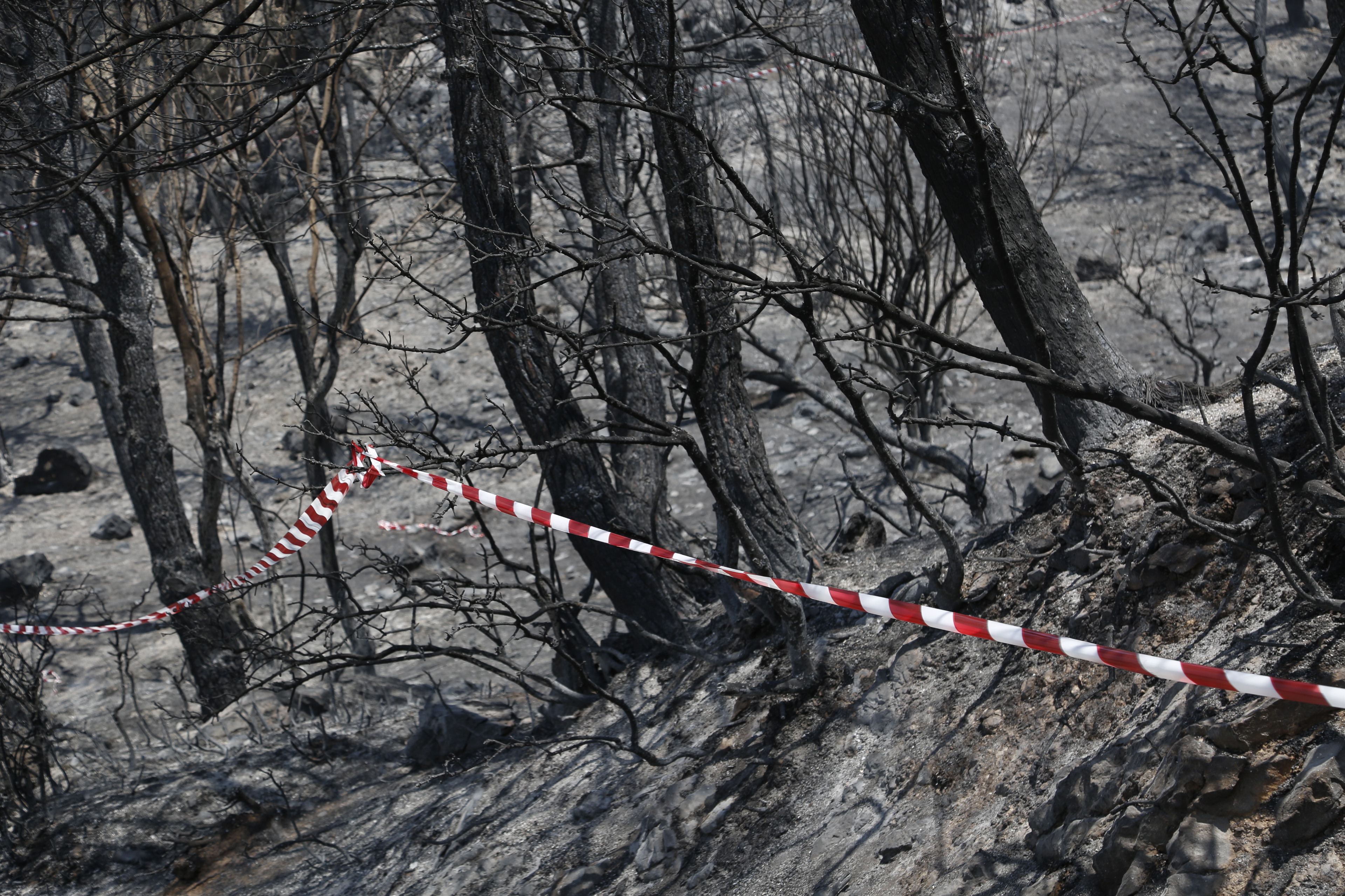 Αρχηγός Πυροσβεστικής: Καλύτερη η εικόνα της φωτιάς στα Δερβενοχώρια