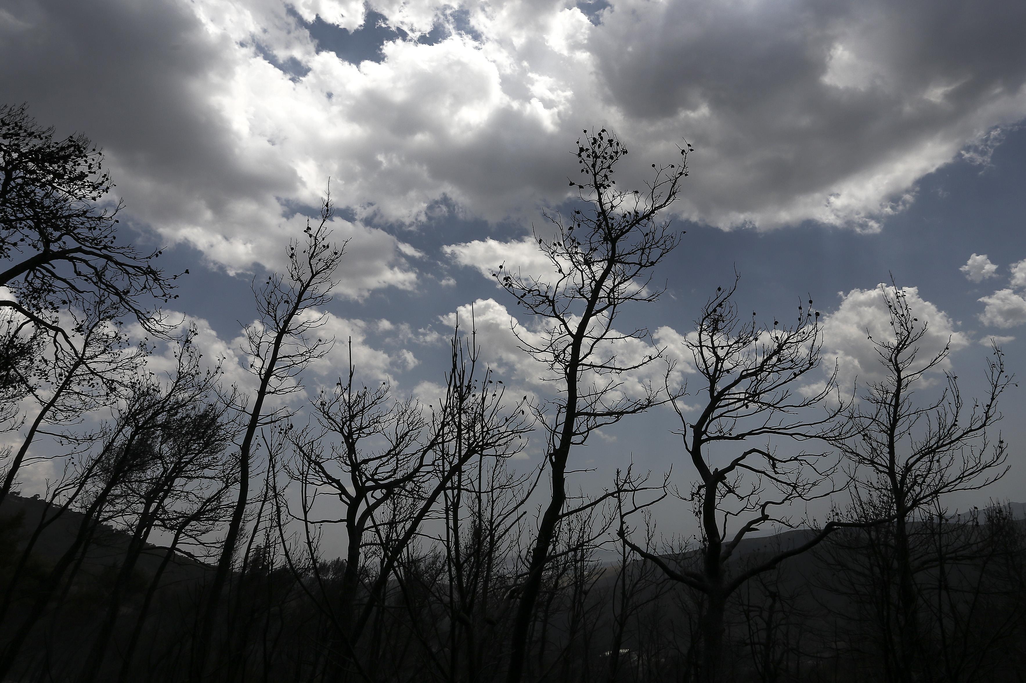Υπό μερικό έλεγχο η φωτιά στα Δερβενοχώρια, σύμμαχος η βροχή