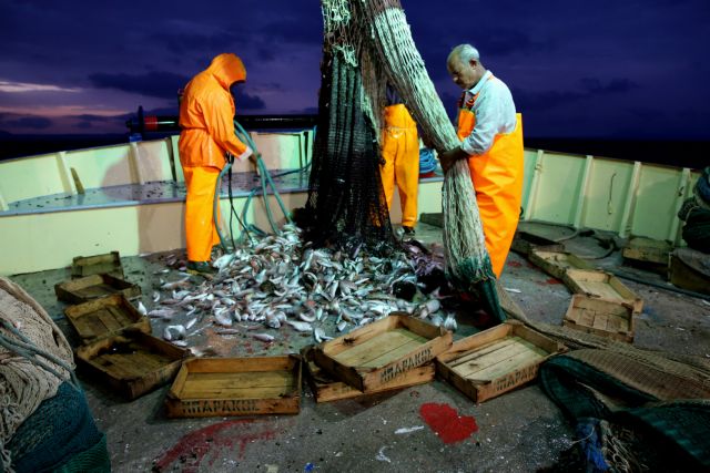 OHE: Ανησυχητική η κατάσταση για τα ψάρια της Μεσογείου