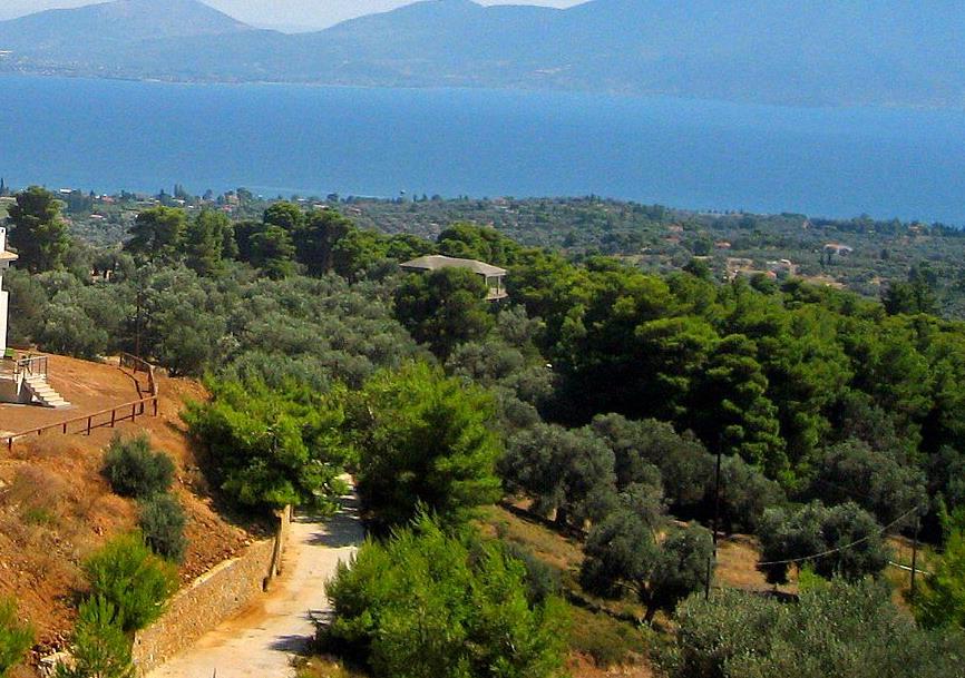 ΕΝΦΙΑ: 230 εκατ. ευρώ το κόστος της εξαίρεσης των αγροτεμαχίων