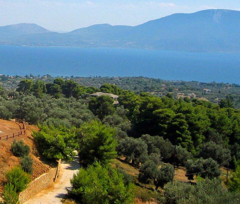 Μόνο για φέτος εκτός ΕΝΦΙΑ τα αγροτεμάχια