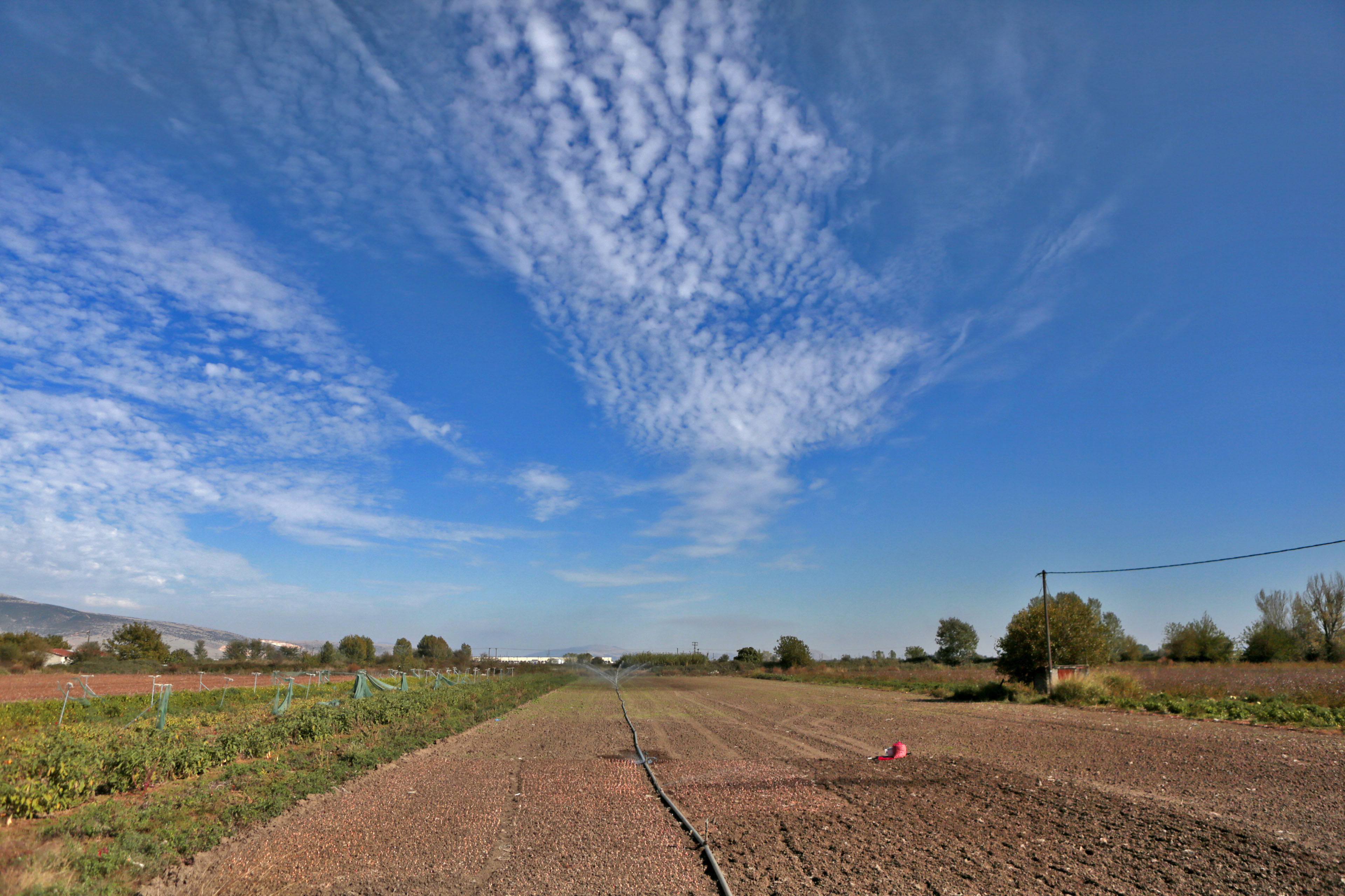 Ποιες εκτάσεις αφορά η επαναφορά της απαγόρευσης δόμησης