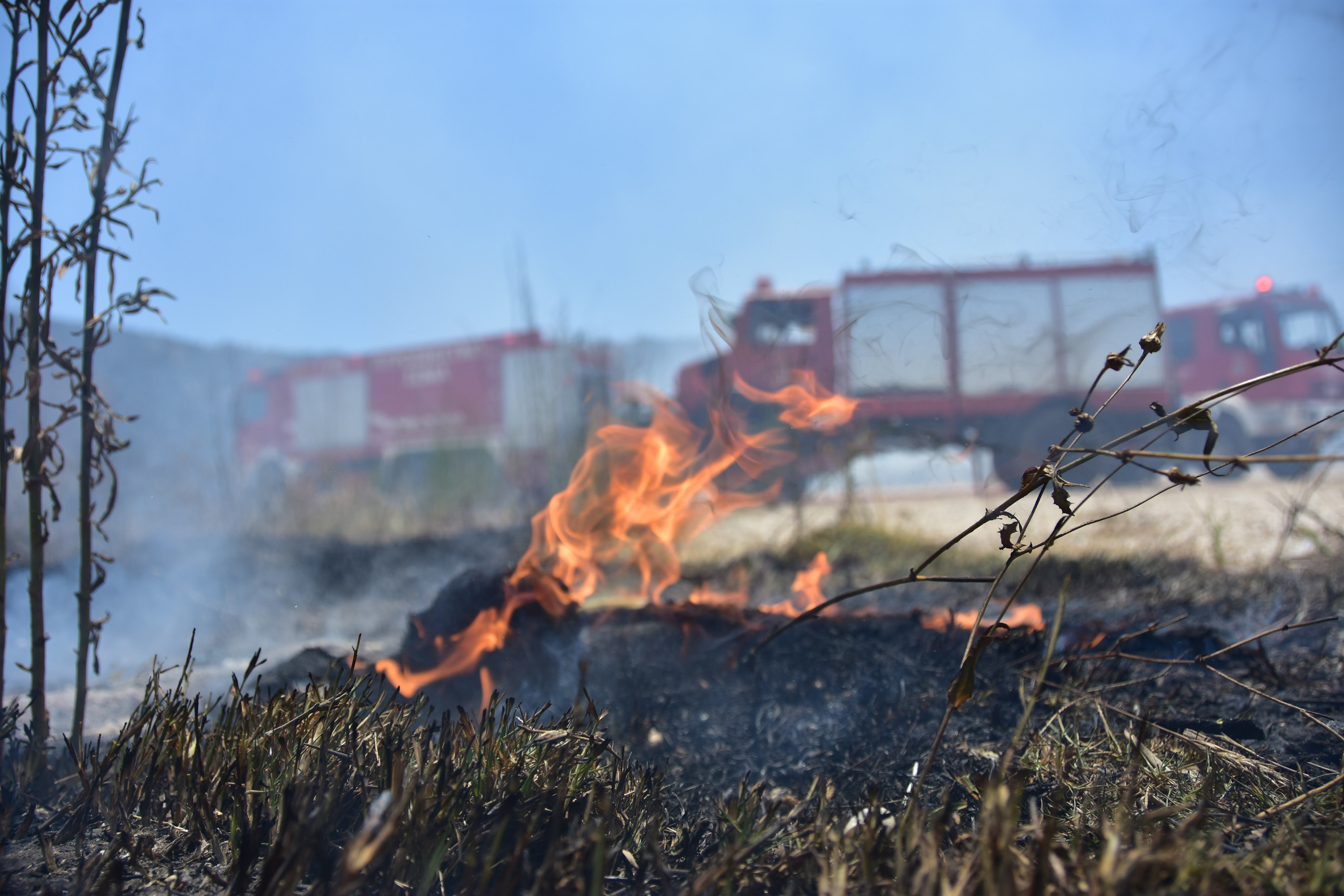 Υπό μερικό έλεγχο η πυρκαγιά στο Πολύδροσο Αμαρουσίου