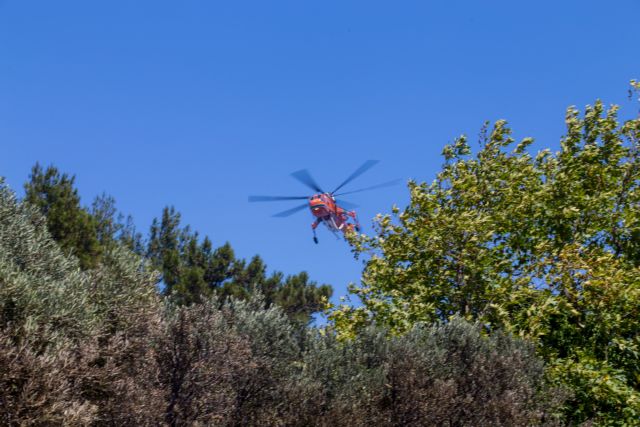 Υπό μερικό έλεγχο οι πυρκαγιές στον Όλυμπο και στη Μόρφα Αυλίδας