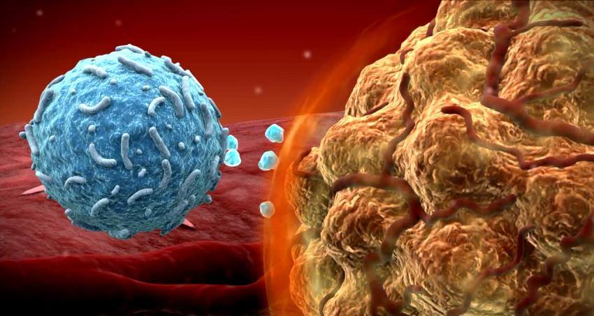 Μελέτη εξηγεί γιατί η ανοσοθεραπεία δεν είναι πάντα αποτελεσματική