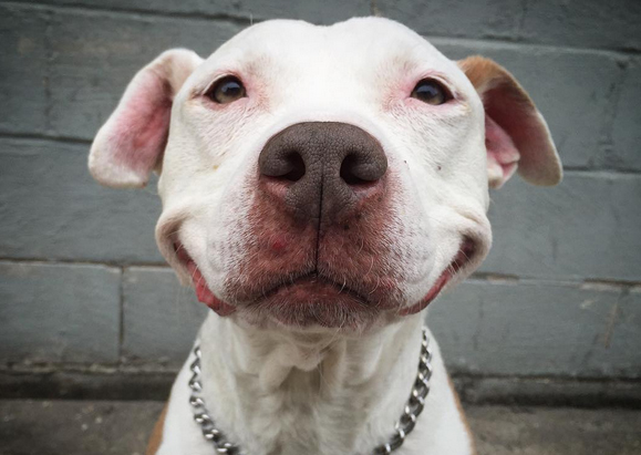 Ο Μπρινκς δεν σταματά να χαμογελά και γίνεται σταρ στο Instagram